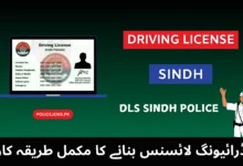 Driving License Sindh DLS Sindh Police