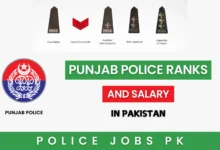 Punjab Police Ranks and Salary in Pakistan