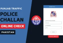 Punjab Traffic Police Challan Online Check Pakistan