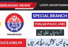 Special Branch Punjab Police Jobs 2025